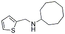 N-(THIEN-2-YLMETHYL)CYCLOOCTANAMINE 结构式