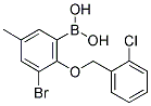 3-BROMO-2-(2'-CHLOROBENZYLOXY)-5-METHYLPHENYLBORONIC ACID 结构式