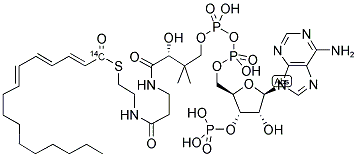 HEXADECATRIENOYL COENZYME A [HEXADECATRIENOYL 1-14C] 结构式
