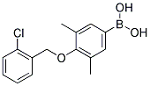 4-(2'-CHLOROBENZYLOXY)-3,5-DIMETHYLPHENYLBORONIC ACID 结构式