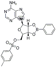 5'-TOSYLADENOSINE-2',3'-O-PHENYLBORONATE