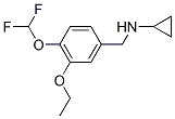 N-[4-(DIFLUOROMETHOXY)-3-ETHOXYBENZYL]CYCLOPROPANAMINE 结构式