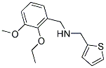 N-(2-ETHOXY-3-METHOXYBENZYL)-N-(THIEN-2-YLMETHYL)AMINE 结构式