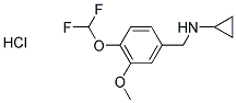 N-[4-(DIFLUOROMETHOXY)-3-METHOXYBENZYL]CYCLOPROPANAMINE HYDROCHLORIDE 结构式