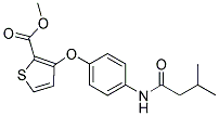 METHYL 3-(4-[(3-METHYLBUTANOYL)AMINO]PHENOXY)-2-THIOPHENECARBOXYLATE 结构式