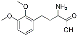 2-AMINO-4-(2,3-DIMETHOXY-PHENYL)-BUTYRIC ACID 结构式
