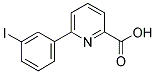 6-(3-IODOPHENYL)PYRIDINE-2-CARBOXYLIC ACID 结构式