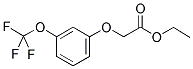 (3-TRIFLUOROMETHOXYPHENOXY) ACETIC ACID ETHYL ESTER 结构式