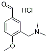 3-[(DIMETHYLAMINO)METHYL]-4-METHOXYBENZALDEHYDE HYDROCHLORIDE 结构式