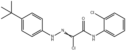 2-[2-(4-TERT-BUTYLPHENYL)HYDRAZONO]-2-CHLORO-N-(2-CHLOROPHENYL)ACETAMIDE 结构式