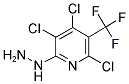 2,4,5-TRICHLORO-6-HYDRAZINO-3-(TRIFLUOROMETHYL)PYRIDINE 结构式