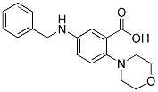 5-(BENZYLAMINO)-2-MORPHOLIN-4-YLBENZOIC ACID 结构式