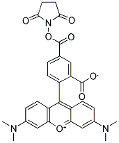 5-羧基四甲基罗丹明琥珀酰亚胺酯 结构式