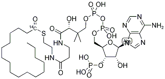 HEPTADECANOYL COENZYME A [HEPTADECANOYL 1-14C] 结构式