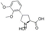 (+/-)-TRANS-4-(2,3-DIMETHOXYPHENYL)PYRROLIDINE-3-CARBOXYLIC ACID HYDROCHLORIDE 结构式