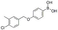 4-(4'-氯-3'-甲基苄氧基)苯硼酸 结构式