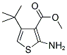 METHYL 2-AMINO-4-TERT-BUTYL-3-THIOPHENECARBOXYLATE 结构式