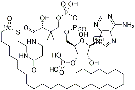 OCTACOSANOYL COENZYME A [OCTACOSANOYL 1-14C] 结构式