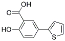 2-HYDROXY-5-(2-THIENYL)BENZOIC ACID 结构式