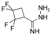 1-(IMINO-HYDRAZINO-METHYL)-2,2,3,3-TETRAFLUORO-CYCLOBUTANE 结构式