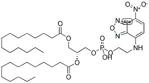 1,2-DIMYRISTOYL-SN-GLYCERO-3-PHOSPHOETHANOLAMINE, 7-NITROBENZOFURAZAN-LABELED 结构式