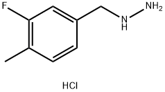 (4-METHYL-3-FLUOROBENZYL)HYDRAZINE DIHYDROCHLORIDE 结构式