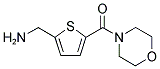 [5-(4-MORPHOLINYLCARBONYL)-2-THIENYL]METHANAMINE 结构式