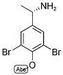 (S)-1-(3,5-DIBROMO-4-METHOXYPHENYL)ETHANAMINE 结构式