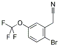 2-BROMO-5-(TRIFLUOROMETHOXY)PHENYLACETONITRILE 结构式