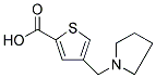 4-(PYRROLIDIN-1-YLMETHYL)THIOPHENE-2-CARBOXYLIC ACID 结构式