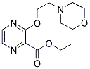 3-(2-MORPHOLIN-4-YL-ETHOXY)-PYRAZINE-2-CARBOXYLIC ACID ETHYL ESTER 结构式