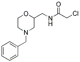 N-(4-BENZYL-MORPHOLIN-2-YLMETHYL)-2-CHLORO-ACETAMIDE 结构式