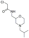 2-CHLORO-N-[(4-ISOBUTYLMORPHOLIN-2-YL)METHYL]ACETAMIDE 结构式