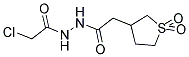 2-CHLORO-N'-[(1,1-DIOXIDOTETRAHYDROTHIEN-3-YL)ACETYL]ACETOHYDRAZIDE 结构式