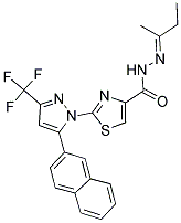 N'-[(1E)-1-METHYLPROPYLIDENE]-2-[5-(2-NAPHTHYL)-3-(TRIFLUOROMETHYL)-1H-PYRAZOL-1-YL]-1,3-THIAZOLE-4-CARBOHYDRAZIDE 结构式