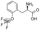 (R)-2-AMINO-3-(2-TRIFLUOROMETHOXY-PHENYL)-PROPIONIC ACID 结构式