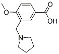 4-METHOXY-3-(PYRROLIDIN-1YLMETHYL)BENZOIC ACID 结构式