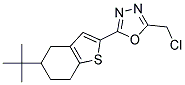 2-(5-TERT-BUTYL-4,5,6,7-TETRAHYDRO-1-BENZOTHIEN-2-YL)-5-(CHLOROMETHYL)-1,3,4-OXADIAZOLE 结构式