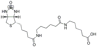 BIOTIN-2X 结构式