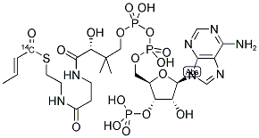 CROTONYL COENZYME A [CROTONYL 1-14C] 结构式