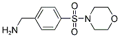 1-[4-(MORPHOLIN-4-YLSULFONYL)PHENYL]METHANAMINE 结构式