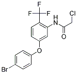 N-[5-(4-BROMOPHENOXY)-2-(TRIFLUOROMETHYL)PHENYL]-2-CHLOROACETAMIDE 结构式