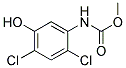 (2,4-DICHLORO-5-HYDROXY-PHENYL)-CARBAMIC ACID METHYL ESTER 结构式