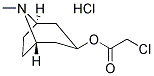 CHLORO-ACETIC ACID 8-METHYL-8-AZA-BICYCLO[3.2.1]OCT-3-YL ESTER HYDROCHLORIDE 结构式