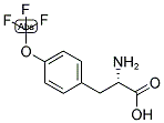 (S)-2-AMINO-3-(4-TRIFLUOROMETHOXY-PHENYL)-PROPIONIC ACID 结构式