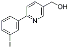 [6-(3-IODOPHENYL)PYRIDIN-3-YL]METHANOL 结构式