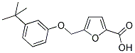 5-[(3-TERT-BUTYLPHENOXY)METHYL]-2-FUROIC ACID 结构式