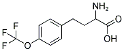 2-AMINO-4-(4-TRIFLUOROMETHOXY-PHENYL)-BUTYRIC ACID 结构式