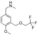 (4-METHOXY-3-[(2,2,2-TRIFLUOROETHOXY)METHYL]BENZYL)METHYLAMINE 结构式