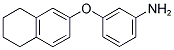 3-(5,6,7,8-TETRAHYDRO-NAPHTHALEN-2-YLOXY)-PHENYLAMINE 结构式